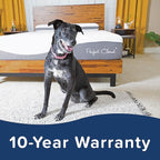 Perfect Cloud Made in The USA UltraPlush Charcoal-Infused 10 inch Memory Foam Mattress - Pressure Relieving - Bed-in-a-Box (King)
