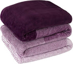PAVILIA Purple Ombre Fleece Throw Blanket for Couch, Soft Flannel Blanket for Sofa Bed Room, Plush Lightweight Light Lavender Lilac Gradient Blanket, Cozy Microfiber Decorative Gift Throw, 50x60