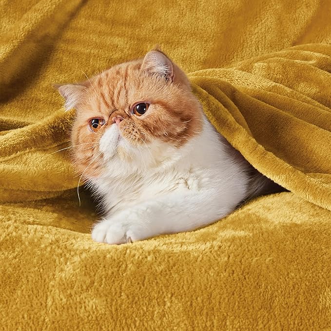Bedsure GentleSoft Gold Fleece Throw Blanket - 300GSM Blankets for Couch, Sofa, Bed, Soft Lightweight Plush Cozy Throws for Toddlers, 50x60 inches