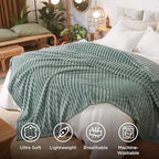 Bedsure GentleSoft Blankets Queen Size for Bed - Cozy Soft Blankets for Women, Cute Large Fleece Throws for Girls, Sage Green, 90x90 Inches