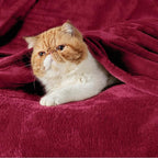 Flannel Fleece Luxury Blanket Red Queen(90"x90") Size Lightweight Cozy Plush Microfiber Solid Blanket by Bedsure