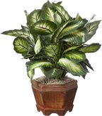 Nearly Natural 22IN Artificial Triple Golden Dieffenbachia Plant with Decorative Wood Planter, Faux Plant for Indoor Home Décor