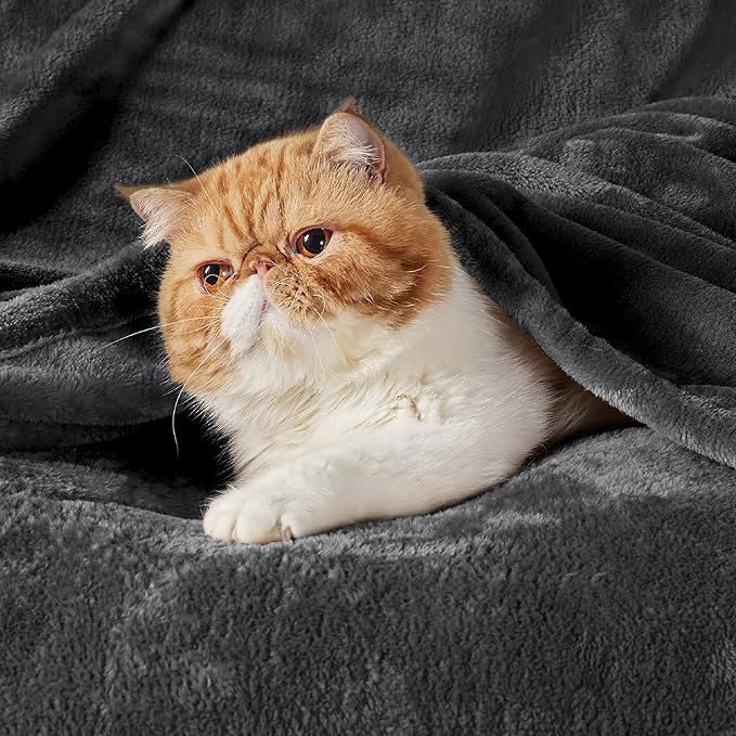 Bedsure GentleSoft Fleece Blankets King Size Dark Grey - Bed Blanket Soft Lightweight Plush Cozy Fuzzy Luxury Microfiber, 108x90 inches