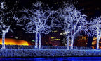 612 Vermont 50 Blue Christmas Lights on a White Wire String, UL Approved, Indoor and Outdoor Use, 9 Foot of Lighted Length, 11 Foot of Total Length