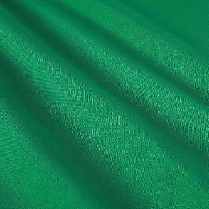 Amazon Basics 5 Piece Soft Microfiber Kid's Bed-in-a-Bag Bedding Set, Twin, Green, Solid