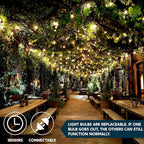 Joiedomi Clear Christmas String Lights Indoor,150 Count Mini Warm White Fairy Light,31.2FT Lighting Decor for Patio Dorm Classroom Bedroom Holiday Wedding Party Garland Birthday Festival,Green Wire