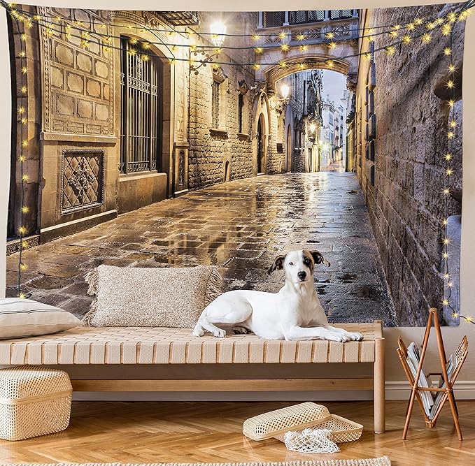 Lunarable City Tapestry, Narrow Street Gothic Design Architecture Carrer del Bisbe Barcelona Spain Europe, Wide Wall Hanging for Bedroom Living Room Dorm, 60" X 40", Tan Pale Brown